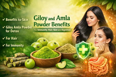 Giloy and Amla Powder Benefits for Immunity, Hair, Skin and Digestion